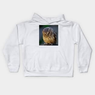 sulking owl Kids Hoodie